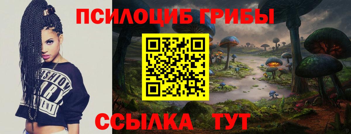 что такое наркотик  Галлюциногенные грибы мухоморы  Вход с VPN  Шадринск 
